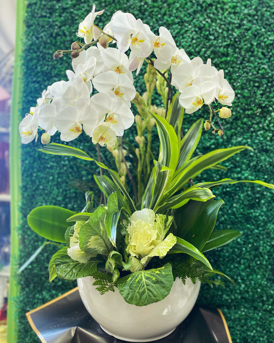 White Orchid Harmony - Encino Florist