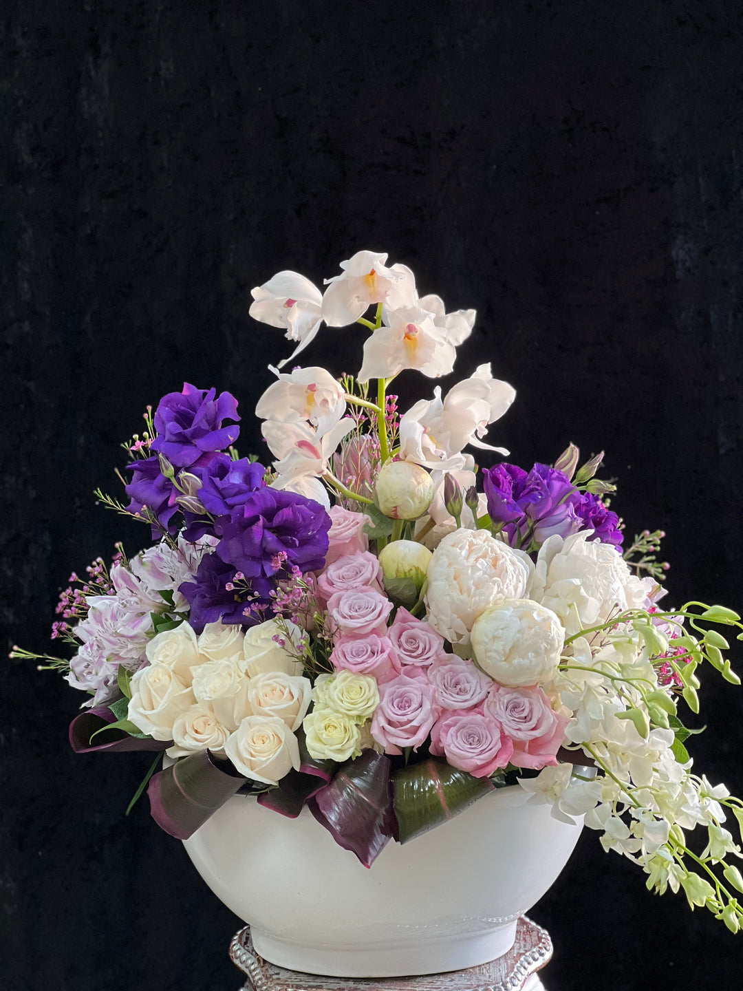 Orchid Majesty- Encino Florist
