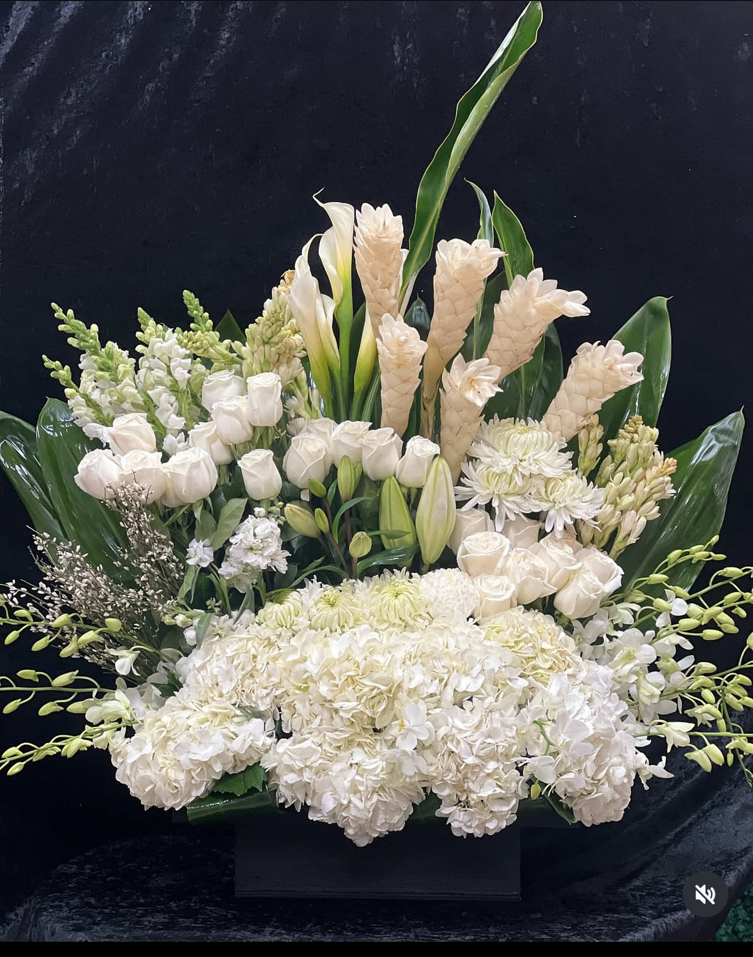 White Splendora - Encino Florist