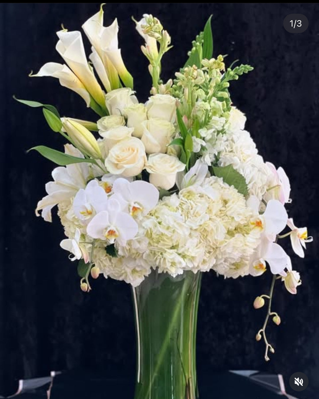 Asphalt White in Green Vase - Encino Florist