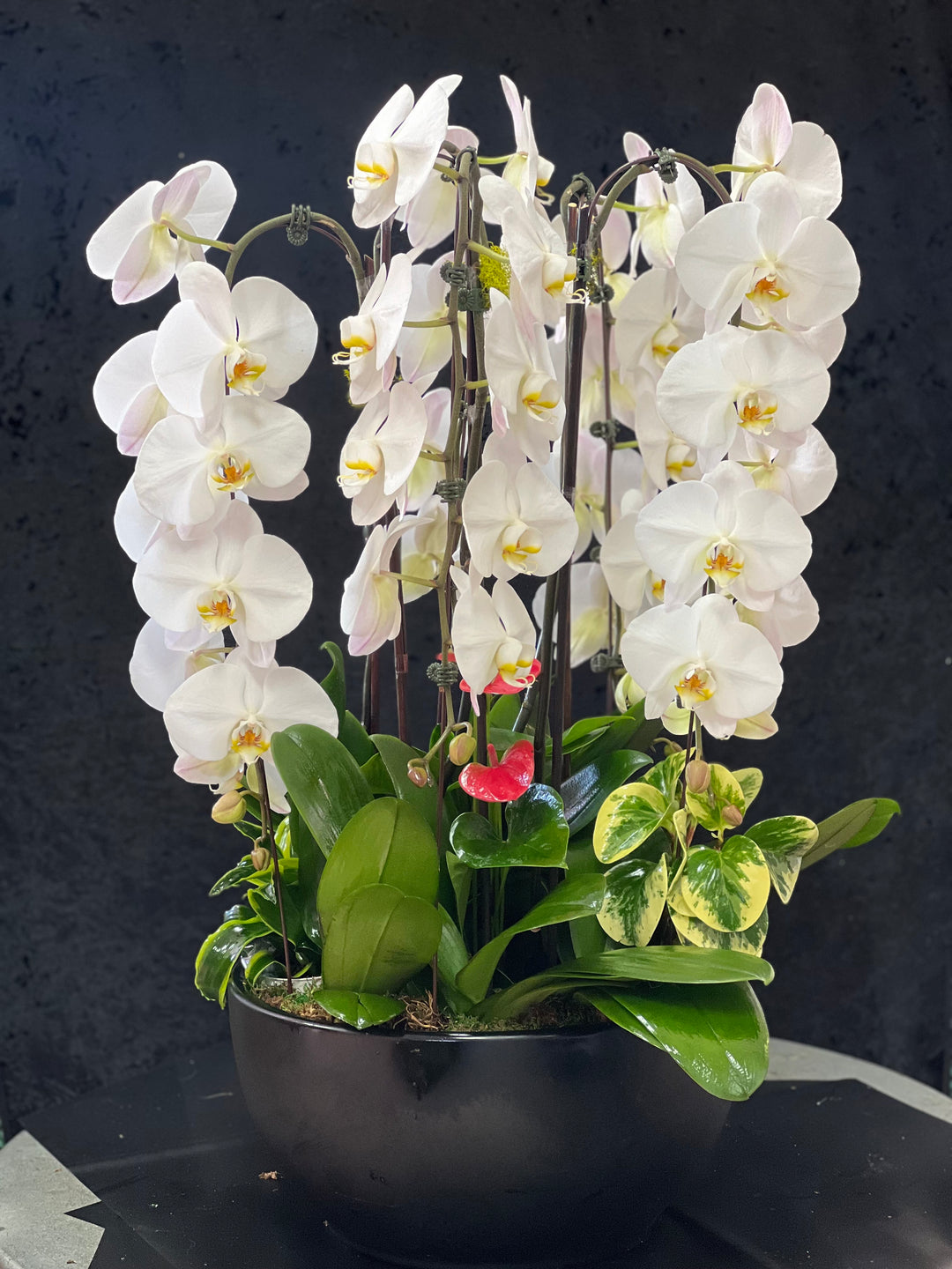 Serene Orchid Matte Ceramic - Encino Florist