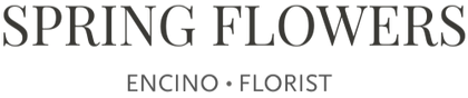 Spring Flowers & Gifts logo