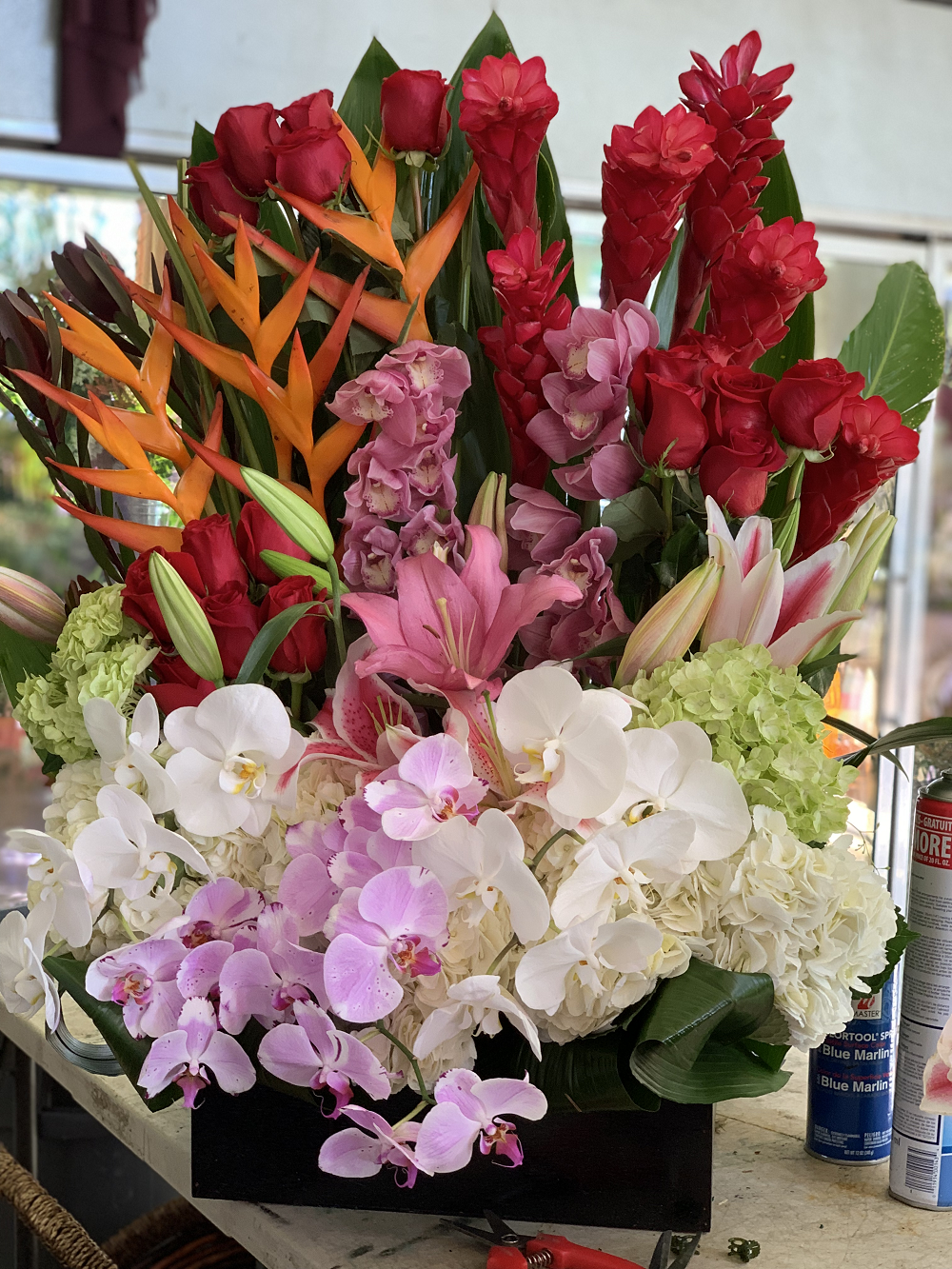 Tropical Love - Encino Florist