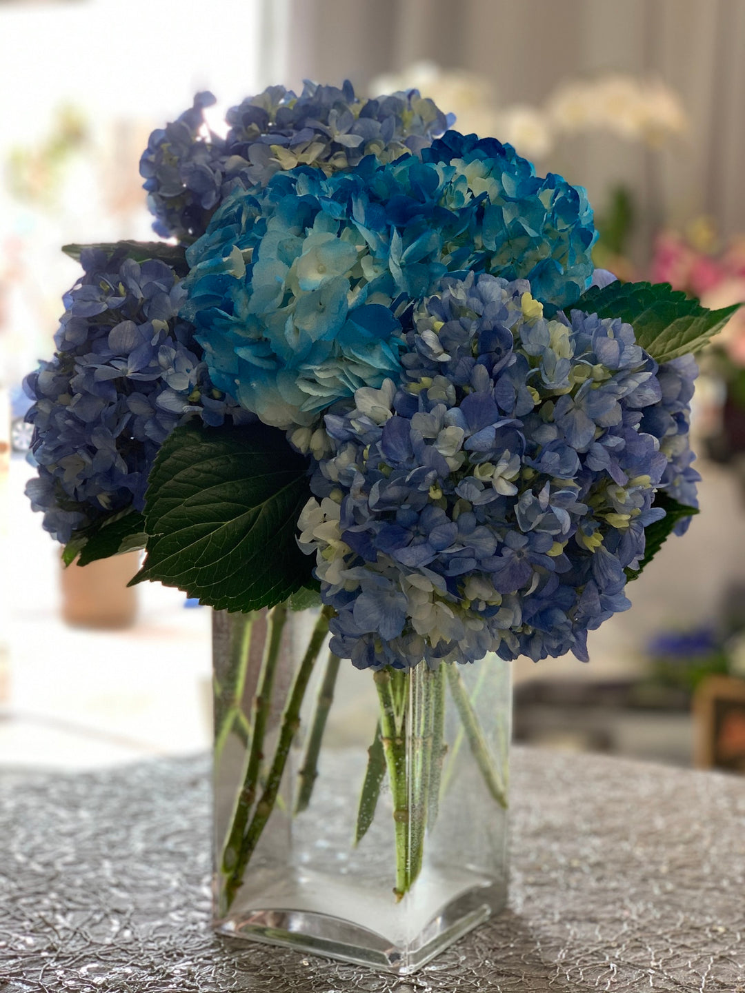 Azure Skies Serenity - Encino Florist