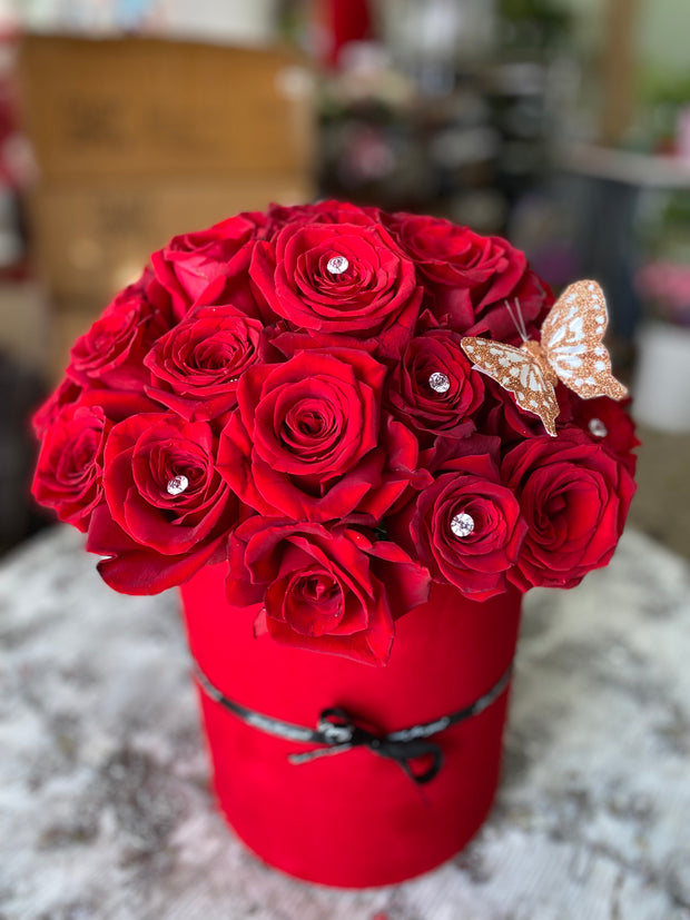 Scarlet Rose Splendor