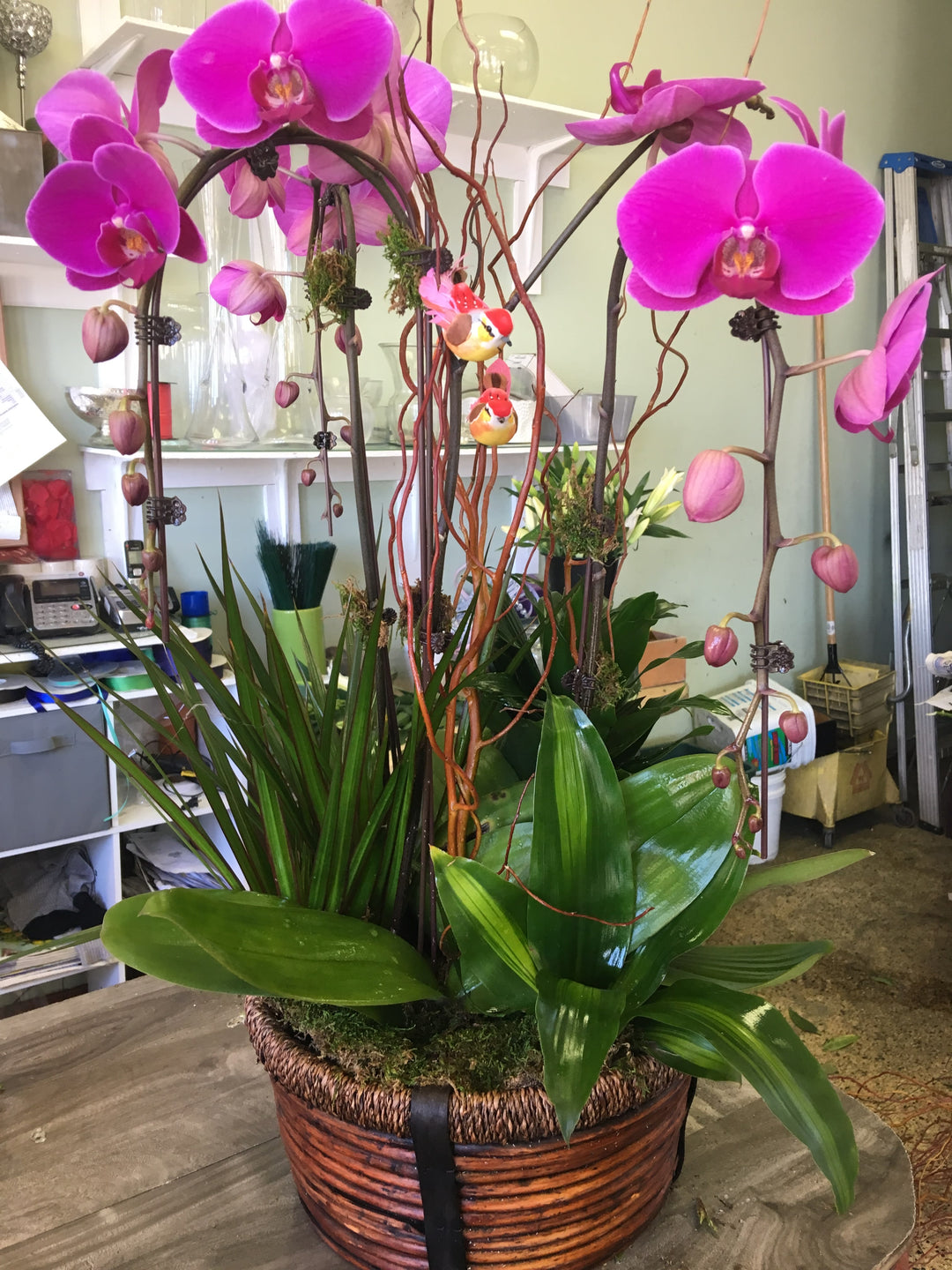 Violet Galore - Encino Florist
