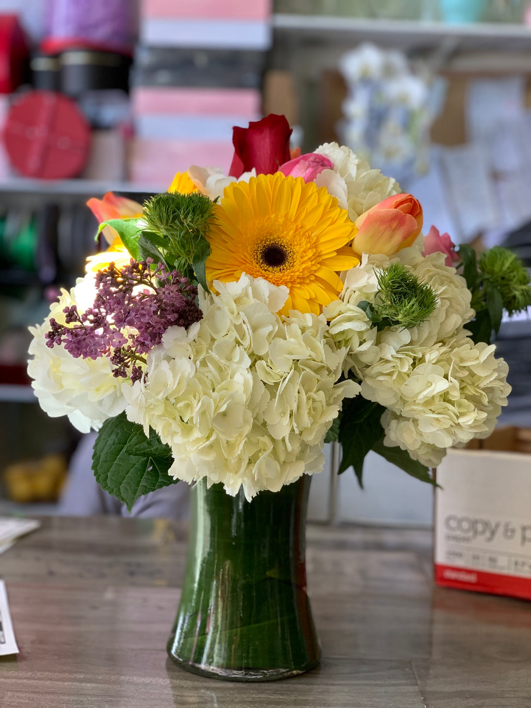 Daisies Gift - Encino Florist