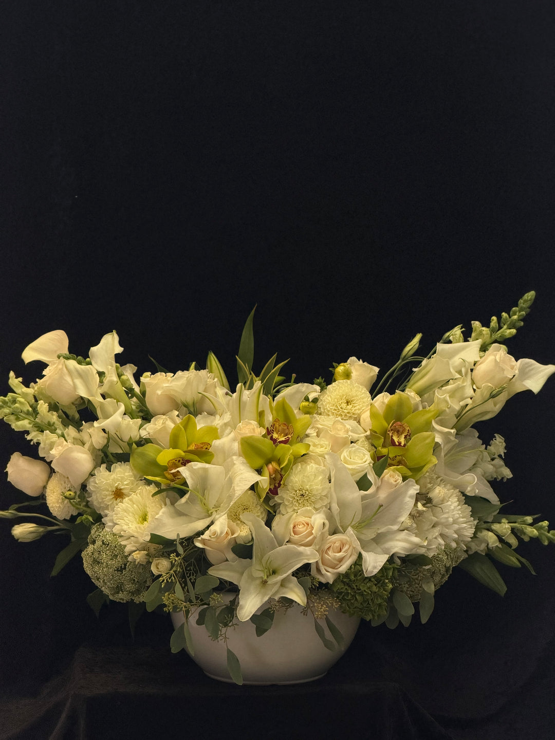 Ivory Nocturne